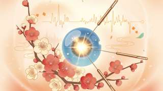 梅花针治近视：科学原理、疗效边界与防控误区解析 - 健康养生封面图