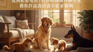 选狗不想被坑？这份宠物狗排名大全教你挑选高智商不拆家的狗狗 - 宠物饲养封面图